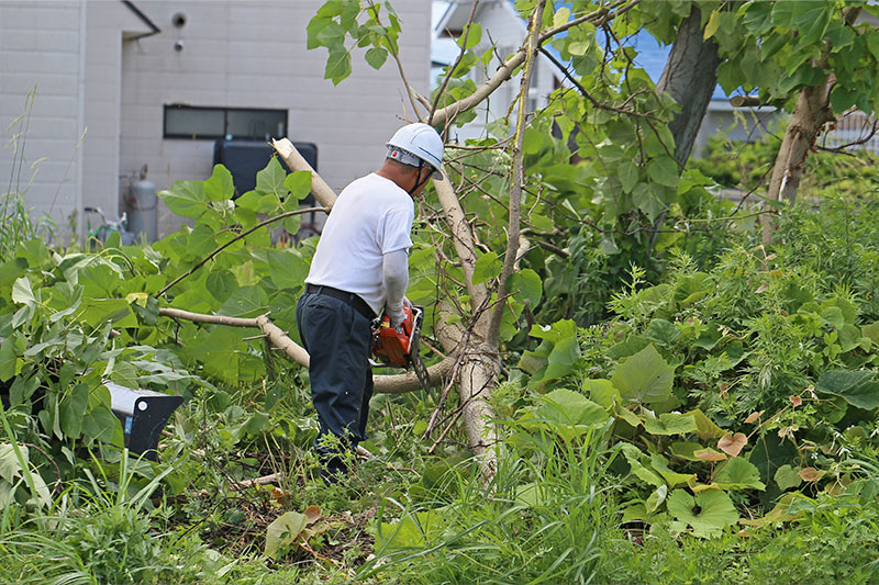 庭木の伐採・剪定